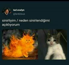 Hersey Olur Panosundaki Pin