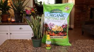 Maybe you would like to learn more about one of these? How And When To Fertilize Houseplants Hgtv