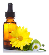 La ansiedad puede definirse como el pensar y concentrarse en el futuro, dejando a un lado el presente. Flores De Bach Para La Familia Vivir Mejor