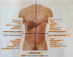 Body regions are further subdivisions of the body quadrants. Emt Quadrants Flashcards Cram Com