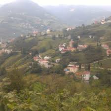 Trabzon'un yöresel tatlarından hamsiköy sütlacı tarifi, mutfağım programında. Hamsikoy Sutlac Home Facebook