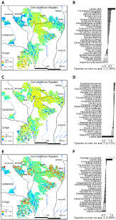 Image result for Napoleonaea angolensis