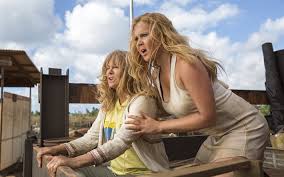 Jimmy fallon, tom hanks, amy schumer, jim gaffigan, judd apatow, lisa kudrow, larry david, and jon favreau are among over 60 famous very famous american and canadian funny. Herunterladen Hintergrundbild Entrissen 2017 Goldie Jeanne Amy Schumer Linda Middleton Emily Fur Desktop Kostenlos Hintergrundbilder Fur Ihren Desktop Kostenlos