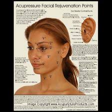 Cosmetic Acupuncture Points Google Search Body Points