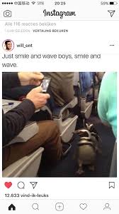 Pin By Jade On Lol Yes Haha Funny Funny Funny Pictures