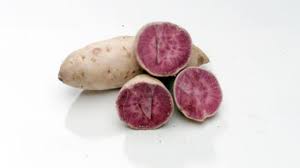 The plant known as the hawaiian sweet potato is not native to hawaii. Sweet Potatoes Grow Easily And In Drier Areas Honolulu Star Advertiser