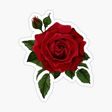 Here presented 54+ flowers tumblr drawing images for free to download, print or share. Red Rose Stickers Redbubble