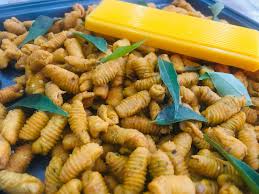 Ia kemudian dicampur rempah dan dibentuk siput dengan menggunakan acuan sebelum digoreng dengan minyak masak menggunakan api serdahana perlahan sehinga ia kekuningan dan di angkat. Resepi Kuih Siput Ikan Bilis Pawtaste Com