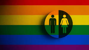 Die farbsymbolik der flagge blau steht für heterosexualität pink steht für homosexualität Der Kampf Ums Geschlecht Blatter Fur Deutsche Und Internationale Politik