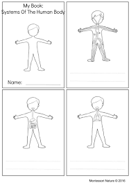 Systems Of The Human Body Montessori Printable Montessori Nature Printables Human Body Systems Body Systems Printables Human Body