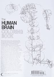 Compre o livro «coloring book human biology» de starr mcmillan em wook.pt. The Human Brain Coloring Book Coloring Concepts Diamond Marian C Scheibel Arnold B Amazon Com Books