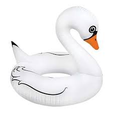 White Bird With Big Mouth Amazon Com Big Mouth Inc Giant White Swan Pool Float Toys Games In 2020 Swan Pool Floatie Swan Pool Float Black Swan Pool Float