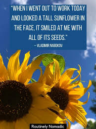 We did not find results for: Sunflower Quotes 100 Amazing Sunflower Sayings Routinely Nomadic