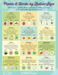Plants And Herbs For Your Zodiac Sign Astrology Herbs Zodiac Signs