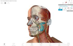 Experience the best anatomy application available today: Human Anatomy Atlas 2019 Complete 3d Human Body Windows Apps Appagg