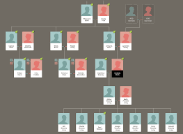 (due to morgan's prolonged lifespan, he could have had his children later on in. Sirius Genealogy The Complex Harry Potter Family Tree