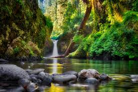 There are numerous things to see and do in the columbia river gorge national scenic area. Photo Punchbowl Falls Columbia River Gorge National Scenic Area Oregon Free Pictures On Fonwall