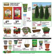 Free shipping on orders over $25 shipped by amazon. All About Rare Plant Uncommon Plant Unique Plant And Others Plants For Sale Menards