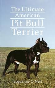 When compared with the english staffordshire bull terrier, the american pit bull terrier is l. The Ultimate American Pit Bull Terrier O Neil Jacqueline 9781620457344 Amazon Com Books