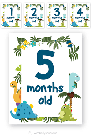 Baby Boy Dinosaur Monthly Milestone Signs Baby Month Stickers One Month Old Baby One Month Baby