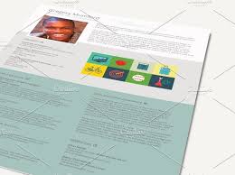 24 award winning ceo resume templates