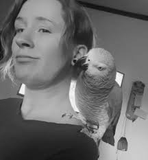 Patience and training achieves this, has taken 5 months but we have got  there, Shadow cat