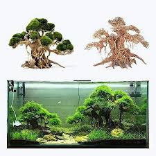 Sagar Aquarium Driftwood Banyan Tree Shape Wood Bonsai Tree For Fish Aquarium Planted Aquascape Freshwater 11 Inc In 2020 Planted Aquarium Aquascape Aquarium Driftwood
