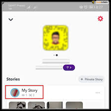 Simply tap and hold the story until you get a popup. How To Tell If Someone Is Stalking You On Snapchat