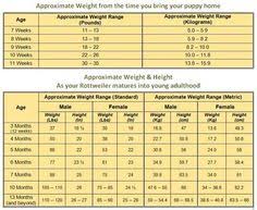 Puppy Weight Calculator Online Charts Collection