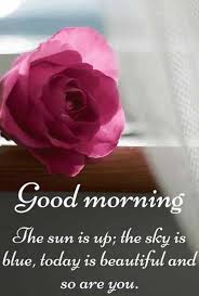 30 Good Morning Photos Download Good Morning Photos Instaloverz In 2020 Good Morning Inspiration Sweet Good Morning Images Good Morning Love