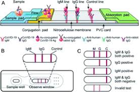 If no control line is visible the test is invalid. A Facile Assay For Rapid Detection Of Covid 19 Antibodies Rsc Advances Rsc Publishing