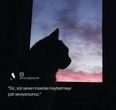 Dreams And Realities Adli Kullanicinin Sozler Panosundaki Pin 2020 Romantik Ask Sozleri Bff Sozleri Tavsiye Sozleri