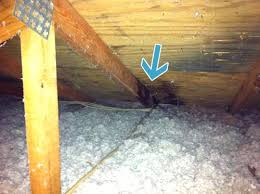 Why Is My Roof Leaking How We Fixed Ours Ourselves Young House Love Ceiling Leak Young House Love Diy Ceiling