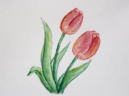 Halaman ini berisi kumpulan gambar mewarnai bunga, dengan visual yang indah dan menarik, serta bisa buibu pakbapak unduh gratis secara legal. Cara Menggambar Bunga Tulip Dengan Pensil Warna Youtube