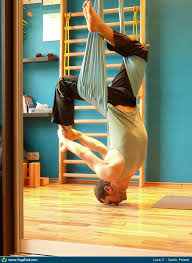 Yoga Pose Uploaded By Luca Zalewski Aerial Yoga Yoga Poses Yoga For Men