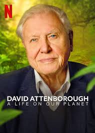 Michael Offutt: David Attenborough's A Life On Our Planet will probably win  the Oscar for Best Documentary simply because it has to.