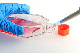 Check spelling or type a new query. Tissue Culture Plastic Polystyrene Harrick Plasma
