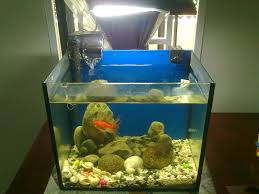 Nampak kedai dari luar biasa. Aquarium Ikan Shah Alam Soalan 52