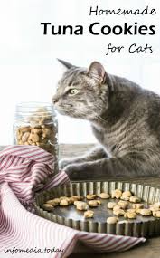 Here's why you may want to reconsider sharing your favorite canned tuna with your feline suggestions on treating your cat in a healthy way. Diy Cat Treats No Tuna