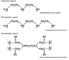 A classic example of a polydentate ligand is the hexadentate chelating agent edta, which is able to bond through six sites, completely surrounding some metals. Ligands Definition Types Examples
