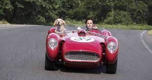 You won't want to put it down! Art Of Racing In The Rain Has Some True Parts Of Story