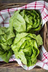 We did not find results for: Types Of Lettuce Different Varieties Of Lettuce