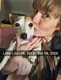 Pet owner grieving lost dog