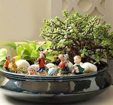 Check spelling or type a new query. 17 Common Dish Garden Plants Name Balcony Garden Web