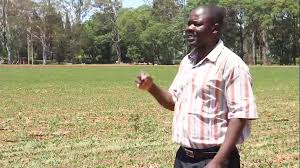 Soyabeans production...