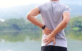 Image result for Low Back Exam