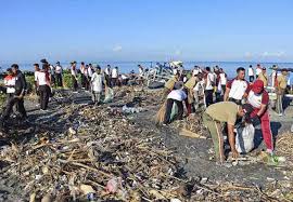 Beberapa mawar yang berhasil bertahan di lingkungan berpasir atau dekat pantai beradaptasi dengan menumbuhkan duri lurus yang membuat mereka terlindung dari serangan binatang bunga teratai terbilang bunga yang unik, karena bila tumbuh di air yang kotor bunganya akan berwarna lebih cerah. Sampah Marak Asita Ntb Tidak Akan Jual Program Ke Destinasi Kotor
