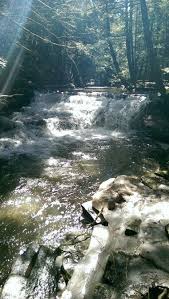 Focal points of the park are the towering old growth hemlock trees, many estimated to be more than 300 years old, and the rocky gorge cut by fall brook with its three waterfalls. Salt Springs State Park Montrose Pa Beautiful State Parks Places Montrose