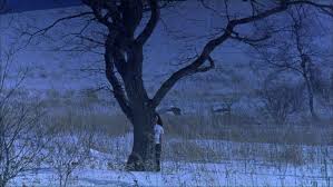 Pin On Horror Films And Stories