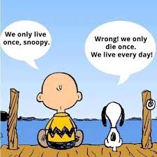 We Only Live Once Snoopy Wrong We Only Die Once We Live Every Day Snoopy Quotes Charlie Brown And Snoopy Snoopy Love